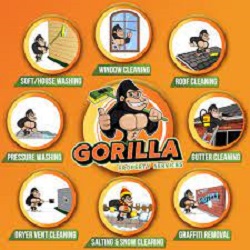 Gorilla Landscaping also Snow removal